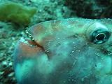 IMG_0785