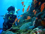 DSCF9234
