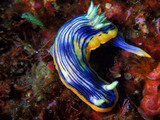 P8126138