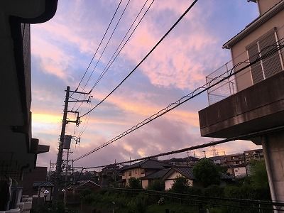 IMG_6579