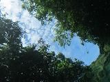 IMG_0513