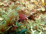 DSCF2201
