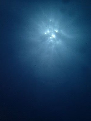 PA060011