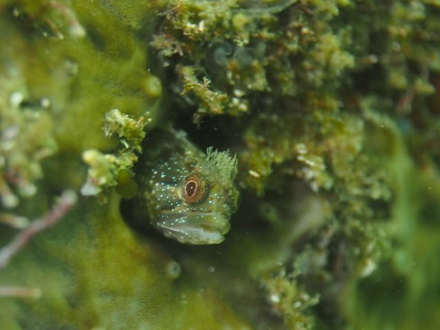 P1240004