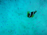 DSCF9124