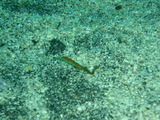 P7190169