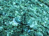 IMG_0501