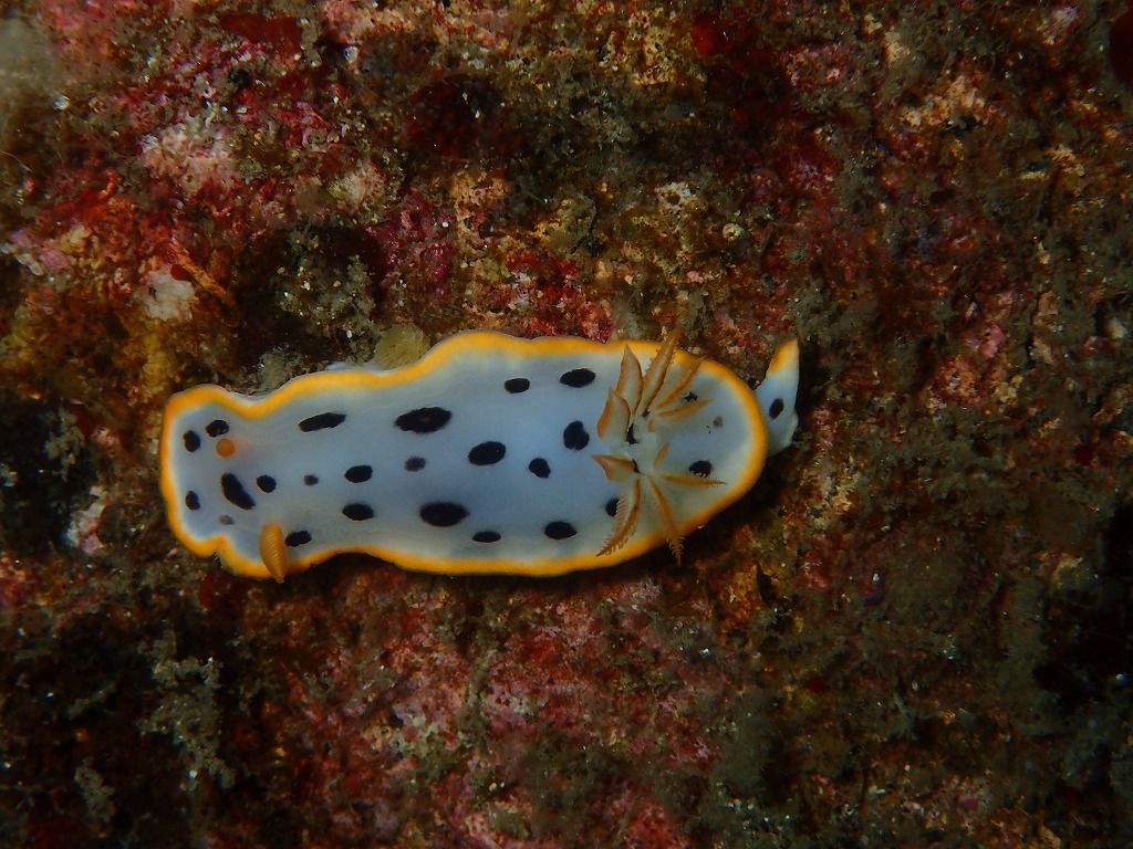 P4160258