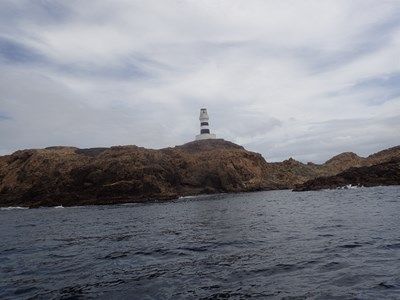 s-P8212210