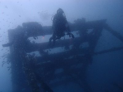 P9082634