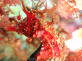 P7114948