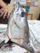 DSCF1884