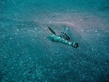 DSCF2786