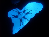 DSCF1656