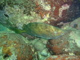 DSCF8230