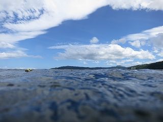 IMG_1454