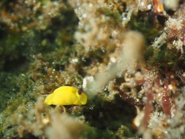 P1240048