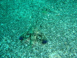 P7190183