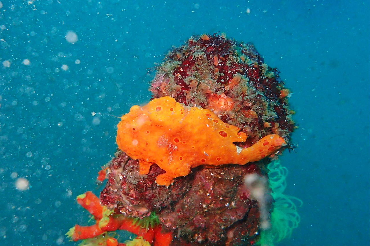 P2090004