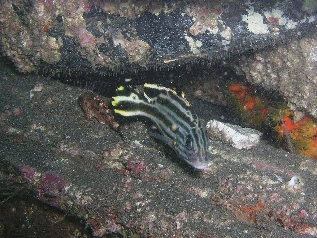 PA070012