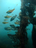 DSCF2344