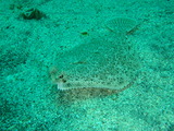 P7190201