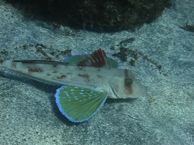 IMG_1795