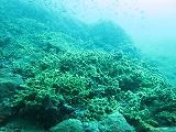IMG_0800