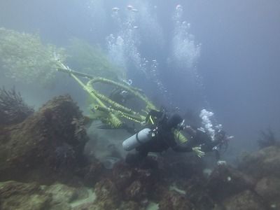 IMG_3243