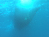 水面下からボート