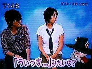 ウィッス Witz International