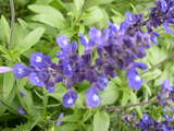 573776b9.jpg