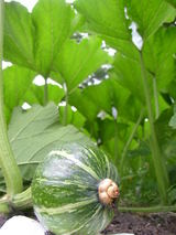 b7db4234.jpg