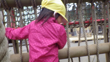 IMGP0517