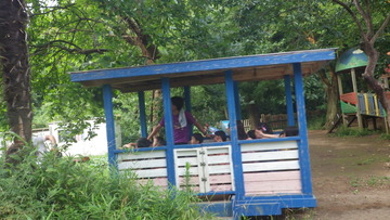 IMGP2473