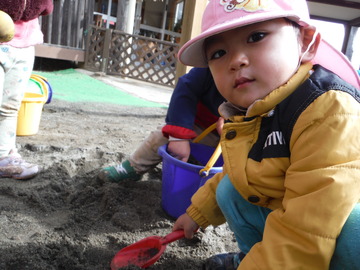DSCF6629