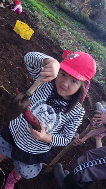 IMGP8768