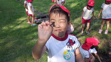 IMGP7120