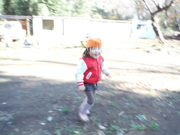 DSCF3565