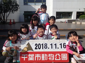 PB161255