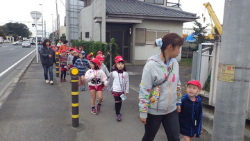 IMGP8788