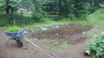 IMGP8855