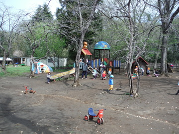 DSCF5667