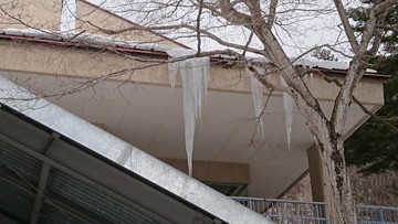 雪遊び写真!_190221_0176