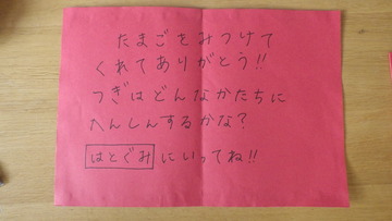 IMGP3495