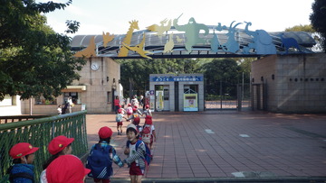 IMGP3338
