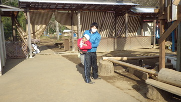 IMGP0455