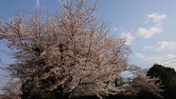 DSC_1955