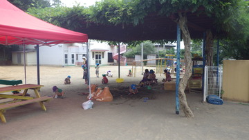 IMGP2923
