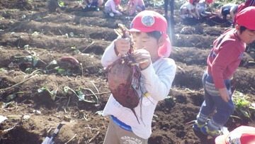 IMGP6085